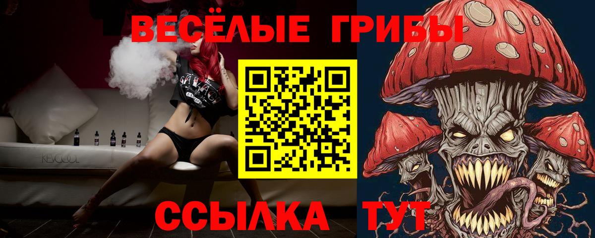 Галлюциногенные грибы ЛСД Богородицк