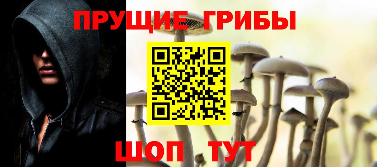 Галлюциногенные грибы мухоморы  Вход с VPN  Богородицк  Псилоцибиновые грибы Psilocybine cubensis 